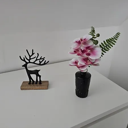 Haus Ilse 10 *