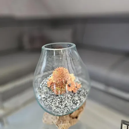 Haus Ilse 10 Sankt Andreasberg